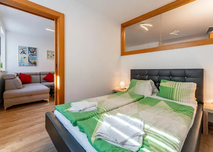 Selmas Apartment Zell am See